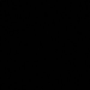 Meet your Posher, Hadisha